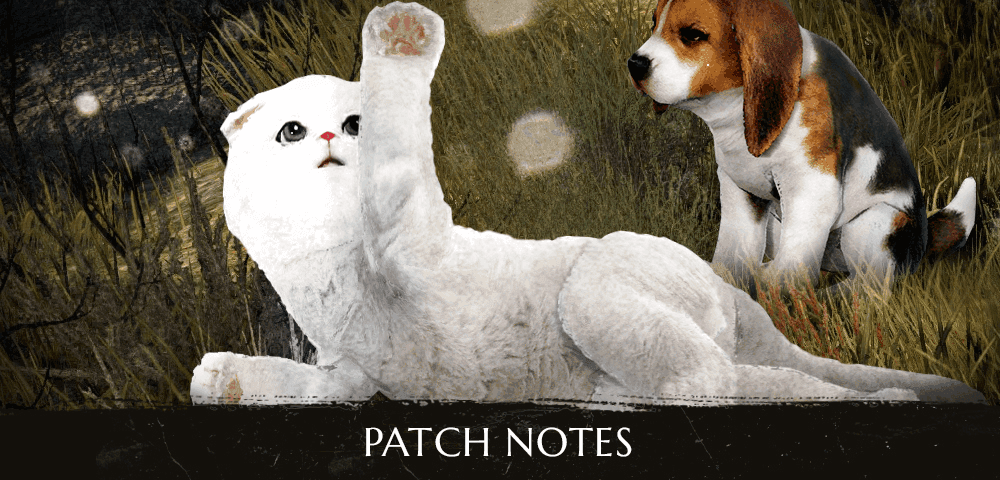 BDO – Patch Notes 31.10.2018 | 10 Million Players EVENT